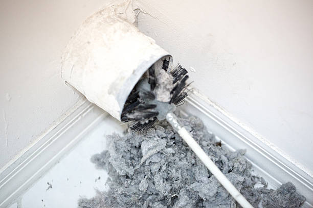 Best Affordable Duct Cleaning Services  in Wallington, NJ